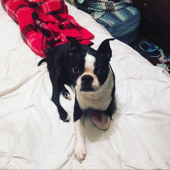 Meet your Posher, Melissa - Picture 1 of 1